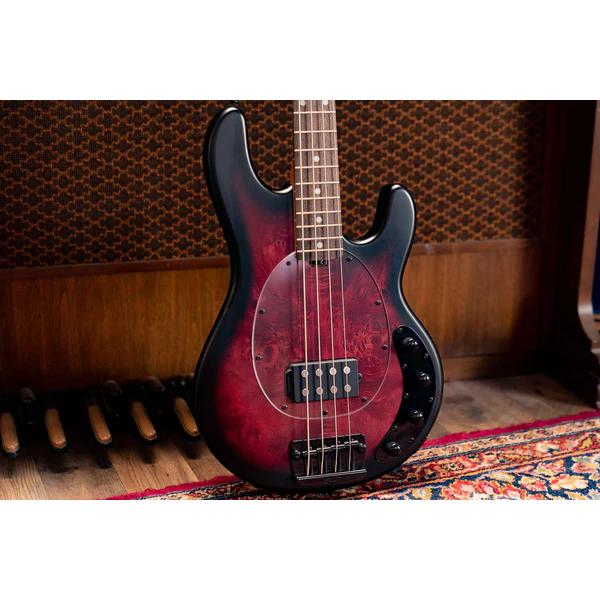 Sterling by MUSIC MAN / RAY34PB DARK SCARLET BURST SATIN 新品