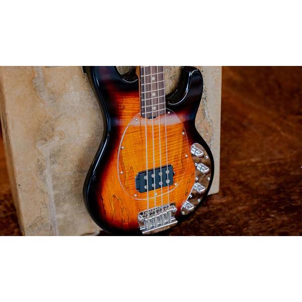 Sterling by MUSIC MAN / RAY34SM-3TS-R2 3-TONE SUNBURST 新品 