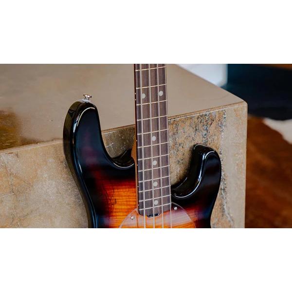 Sterling by MUSIC MAN / RAY34SM-3TS-R2 3-TONE SUNBURST 新品 
