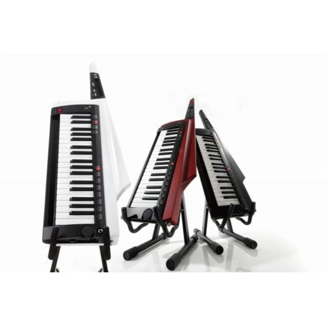 と*ん様 KORG RK-100S 専用ケース付き RK-100S 2 - KEYTAR | KORG (Japan)