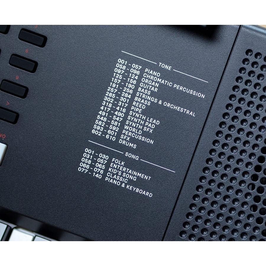 ローランド（Roland） Roland E-X10 新品 61鍵キーボード : ギター
