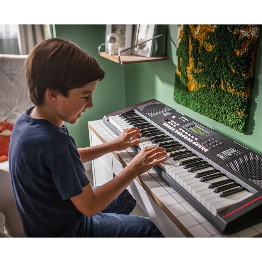 ローランド（Roland） Roland E-X10 新品 61鍵キーボード : ギター