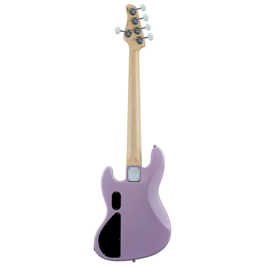 予約受付中!!※完全受注生産】Schecter / AC-EXB-5-AveMujica/Timoris