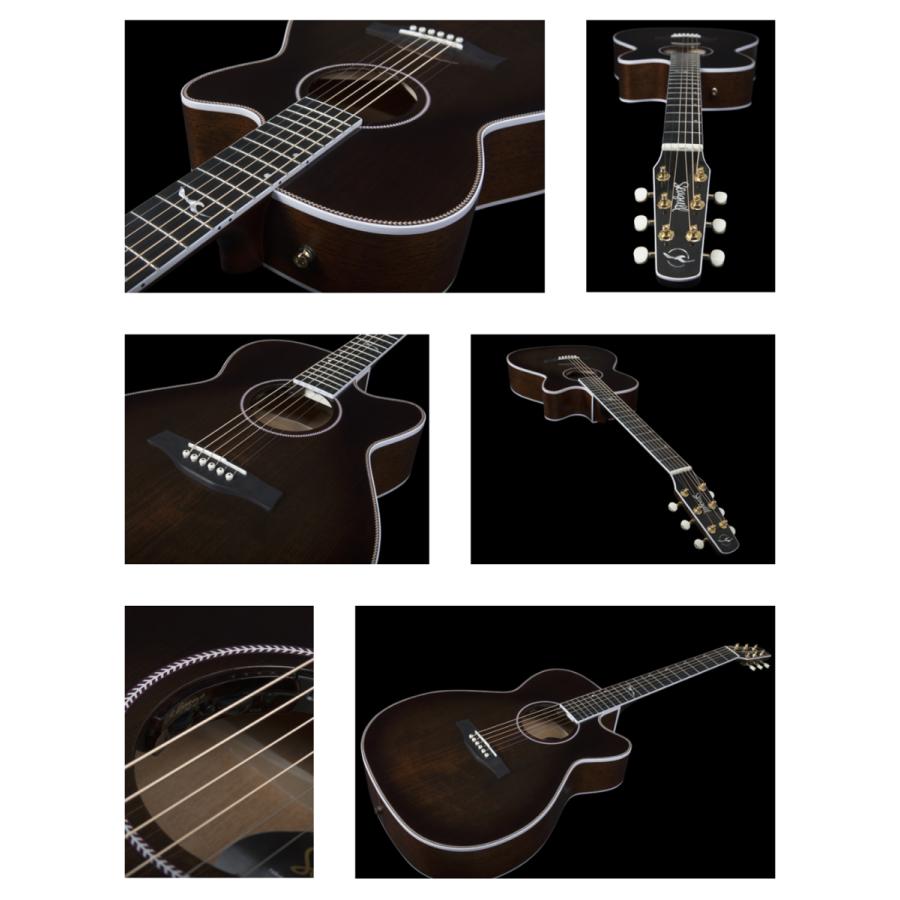 Seagull Artist Mosaic Concert Hall CW -Bourbon Burst- GT Anthem EQ
