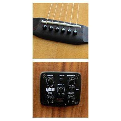 Serena SG-3S CE N 《アコギ》 : ギタープラネット Yahoo!ショップ