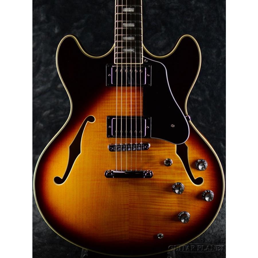 ギター Sire H7 SireH7 -STR-【オンラインストア限定】商品詳細 | ギタープラネット