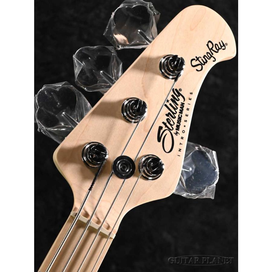 Sterling by MUSIC MAN SUB Intro Series RAY2 -Black- 新品《ベース