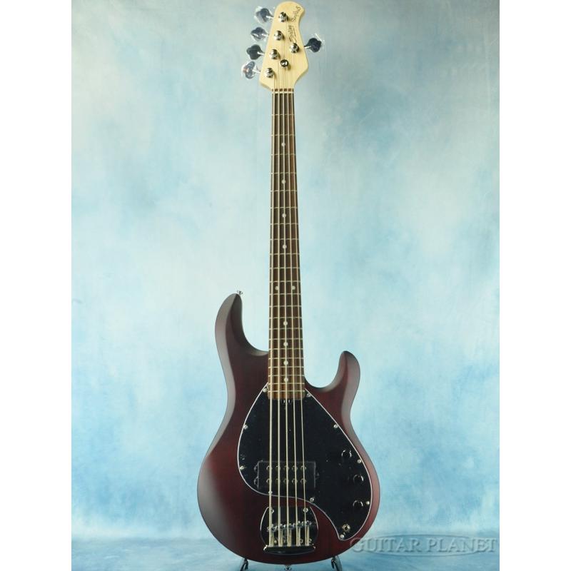 ベース Sterling by MUSIC MAN StingRay5 walnut Sterling by MUSICMAN 【入荷待ち、ご予約受付中】 S.U.B. Series Ray5