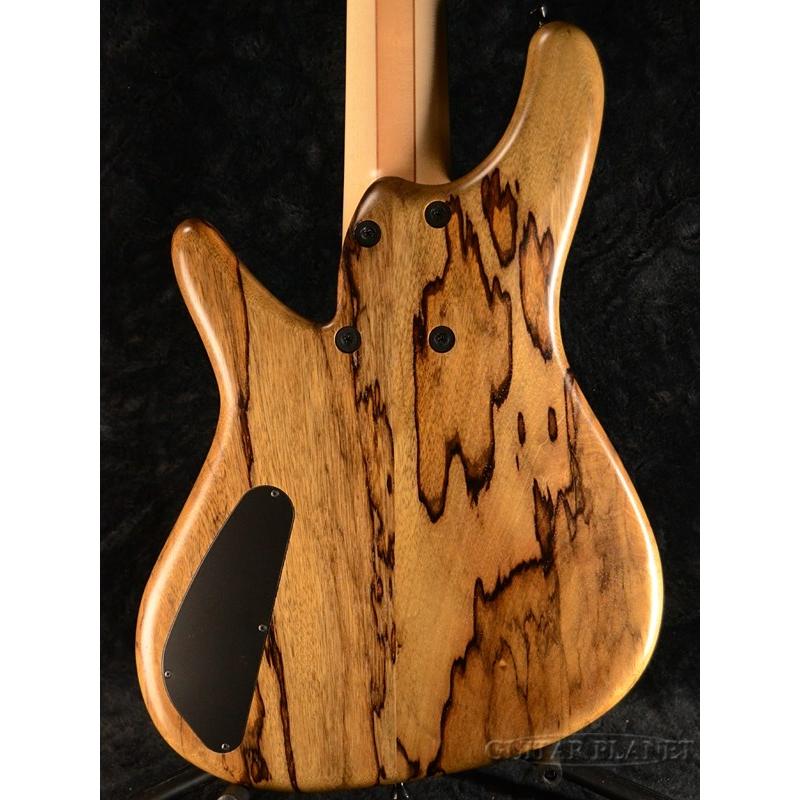 Sugi NB5C FM/ASH 8/1迄値引き Sugi NB5C SL-BLB/NAT《ベース》 : ギタープラネット Yahoo!ショップ
