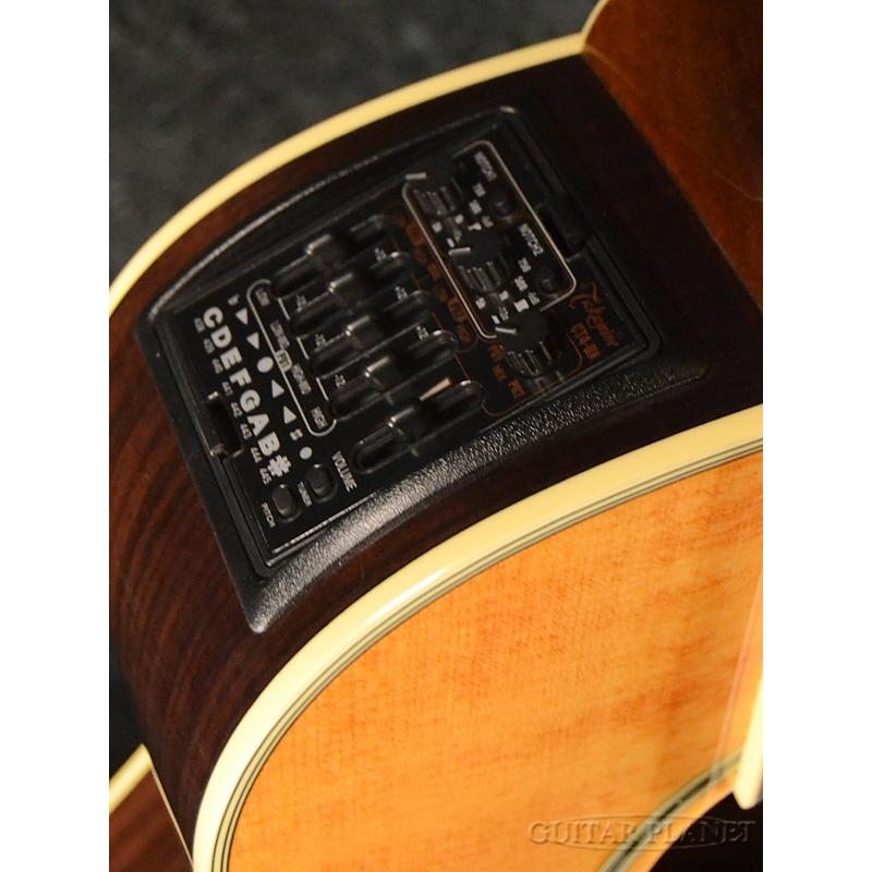 Takamine DMP670NC VN クラシックギター《アコギ》 : ギタープラネット