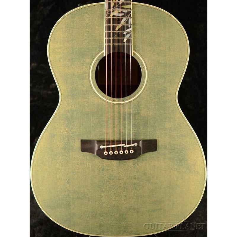 Takamine Limited Series LTD2020 -Peace- Foliage Green《エレアコ