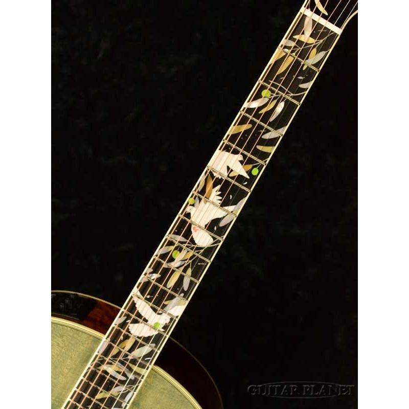 Takamine Limited Series LTD2020 -Peace- Foliage Green《エレアコ