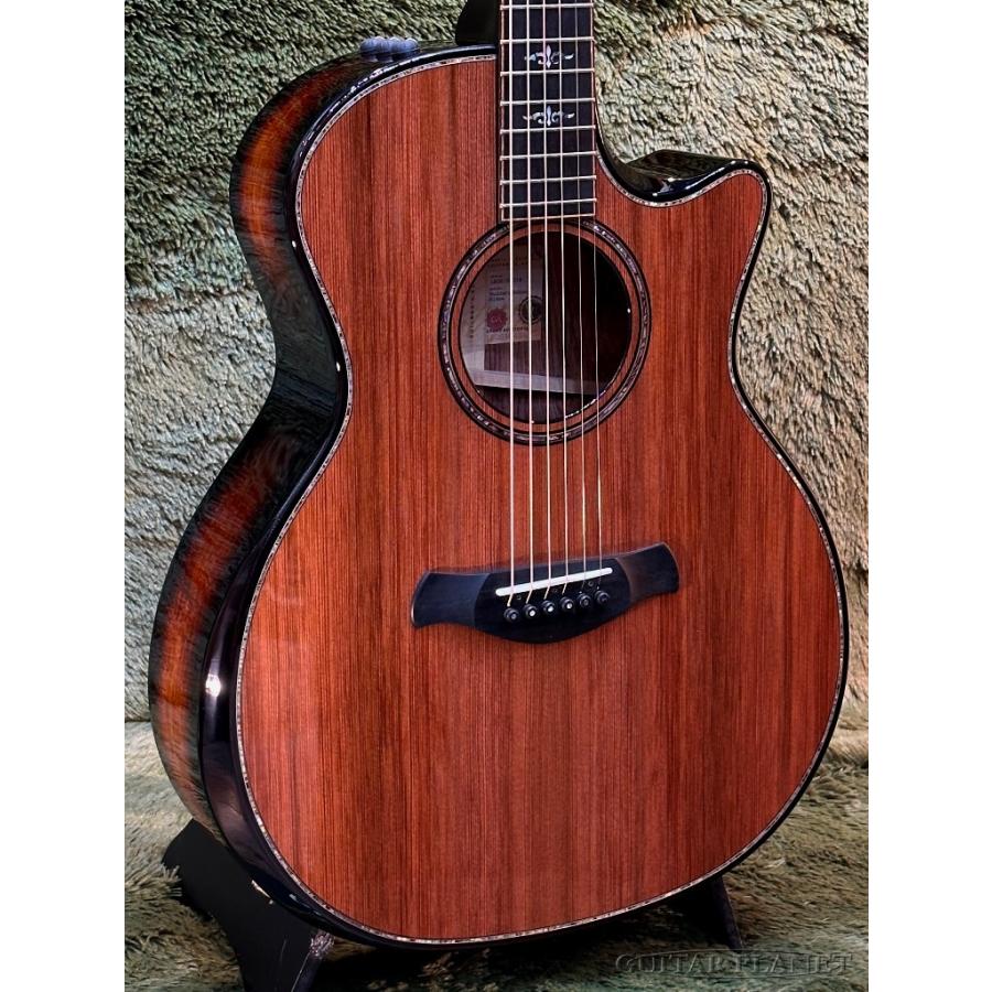 Taylor Taylor Builders Edition 914ce -Honduran Rosewood