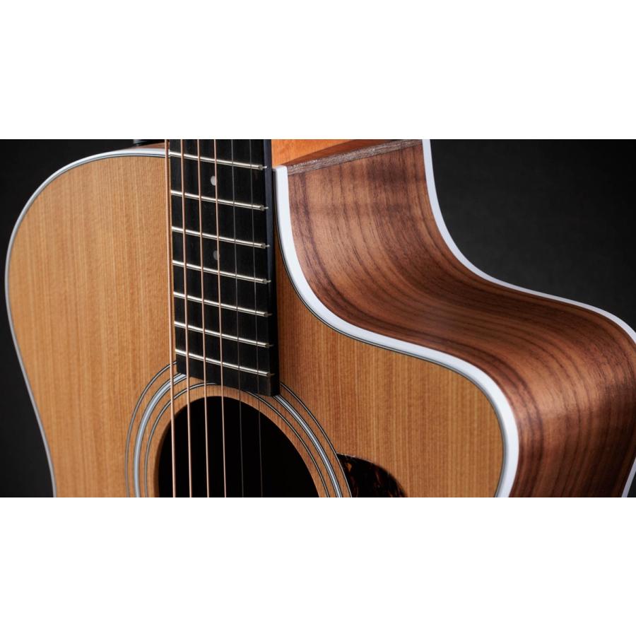 Taylor Taylor 214ce C-Class Bracing w/Expressin System 2 Pickup
