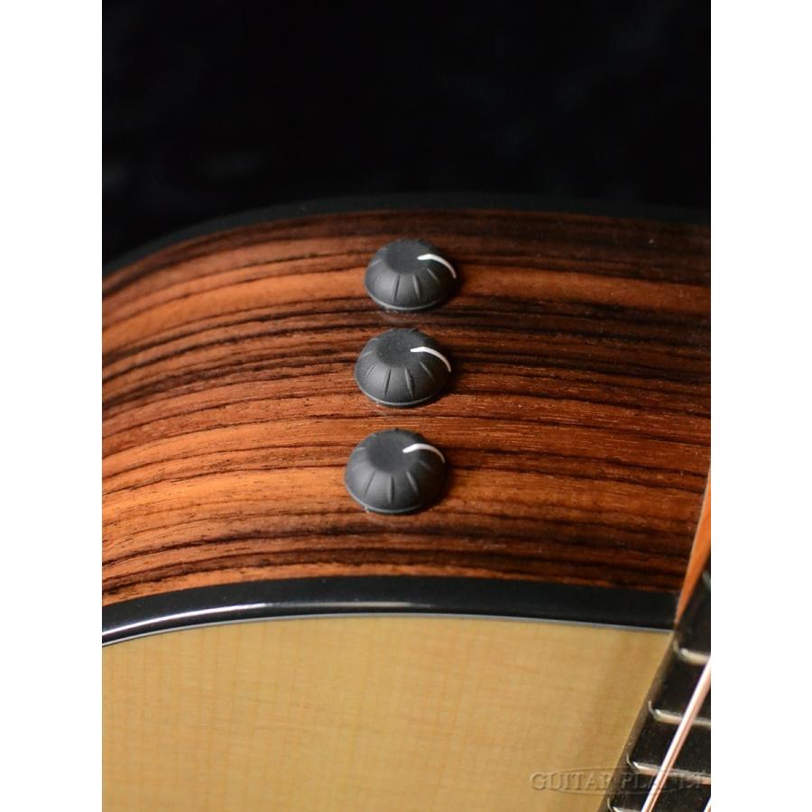 Taylor 214ce Rosewood Plus w/Expression System 2《アコギ