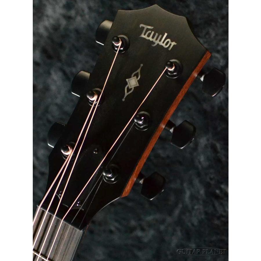 mac】taylor 324ce black wood Taylor 324ce Blackwood入荷しました