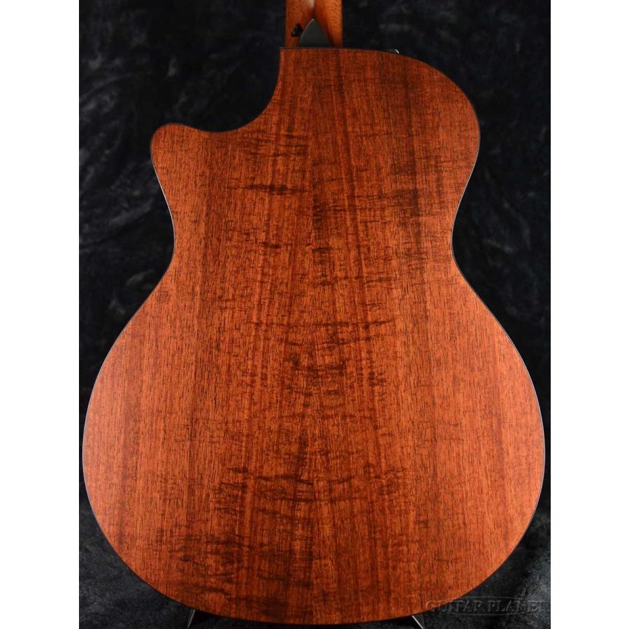 Taylor Taylor 324ce Blackwood V-Class w/Expression System 2