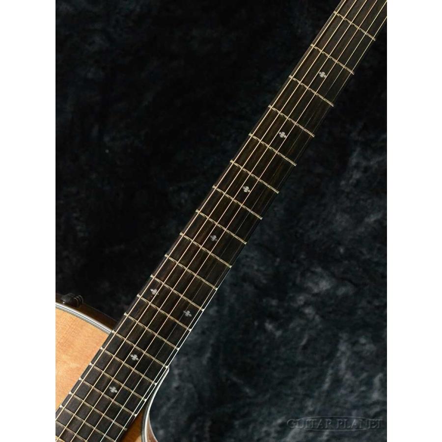 Taylor Taylor LTD 414ce V-Class Narrow Nut #1205141161《アコギ