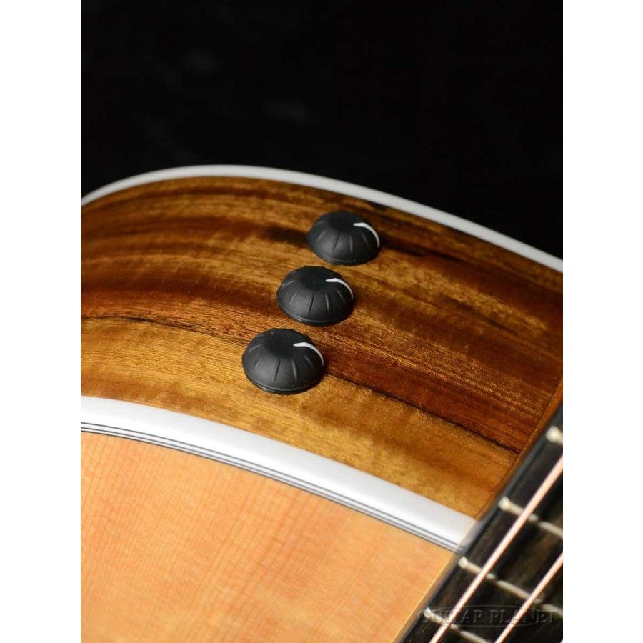 Taylor Taylor LTD 414ce V-Class Narrow Nut #1205141161《アコギ