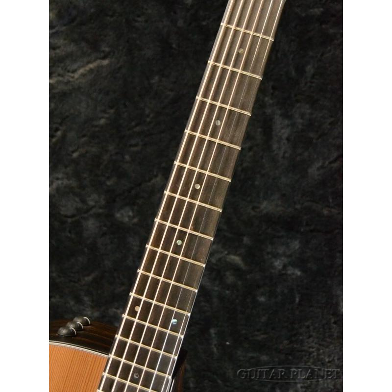 Taylor M12ce Japan Limited w/Expression System 2【6本限定生産