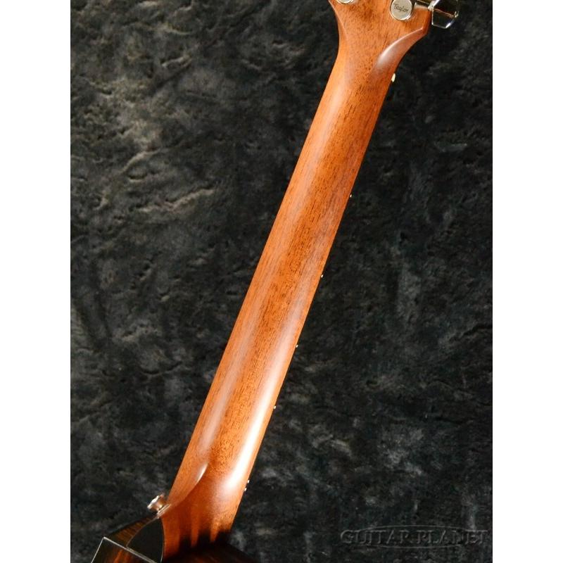 Taylor M12ce Japan Limited w/Expression System 2【6本限定生産