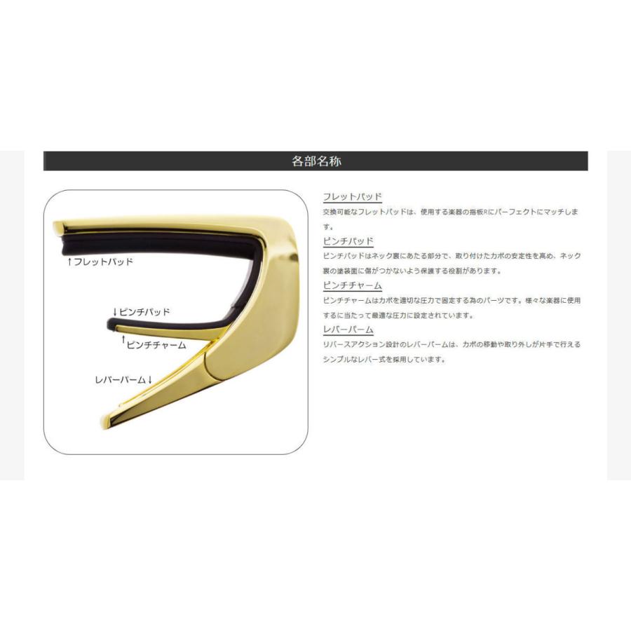 Thalia Capos Exotic Shell DRAGON ABALONE -Chrome-│ ギター用カポタストの画像