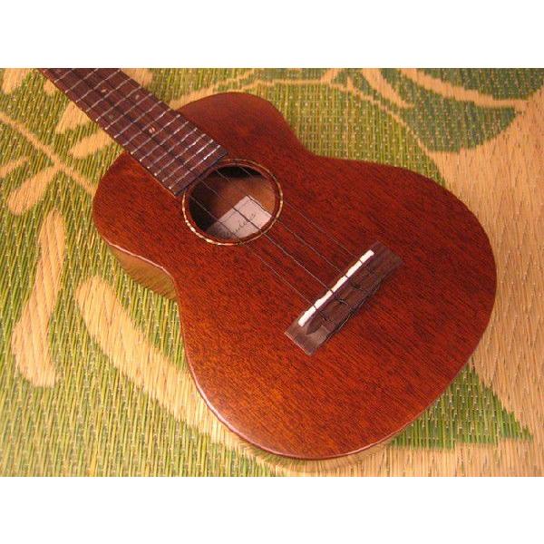 T's CS-100 コンサートウクレレ 《ウクレレ》 : ギター
