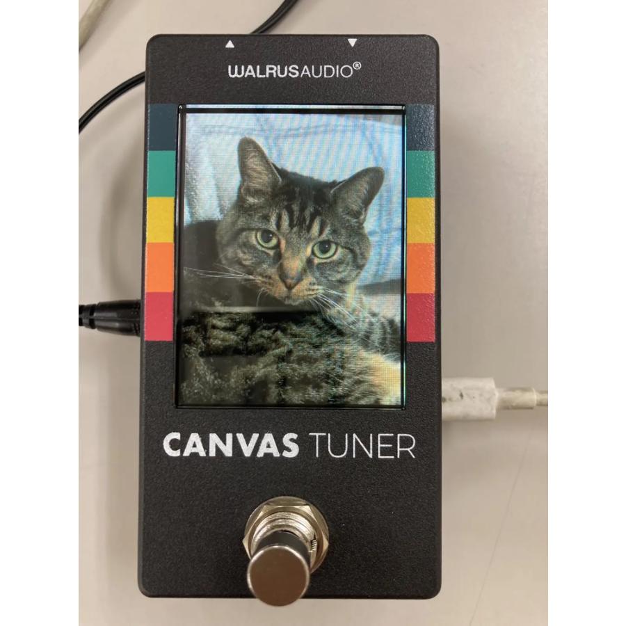 期間限定特典付き!!】Walrus Audio Canvas Tuner 