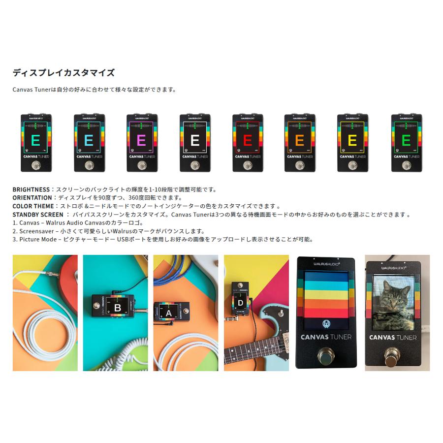 期間限定特典付き!!】Walrus Audio Canvas Tuner 