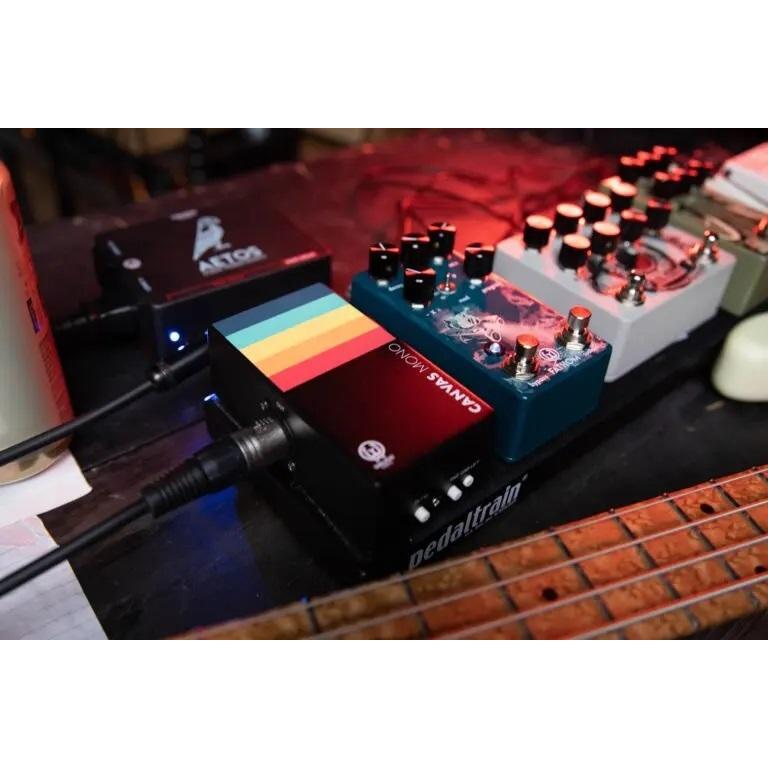 配信機器・PA機器・レコーディング機器 CANVAS MONO Di walrus