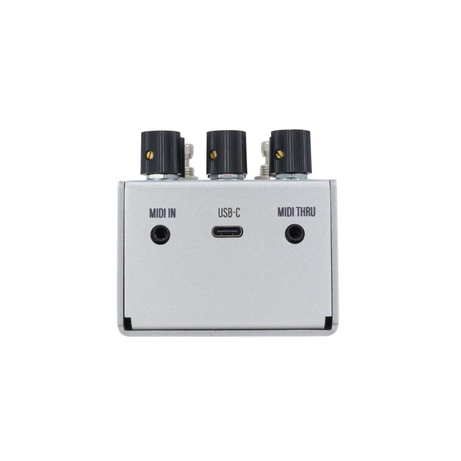 WALRUS AUDIO Mako Series MKII D1 High-Fidelity Delay 新品 ディレイ
