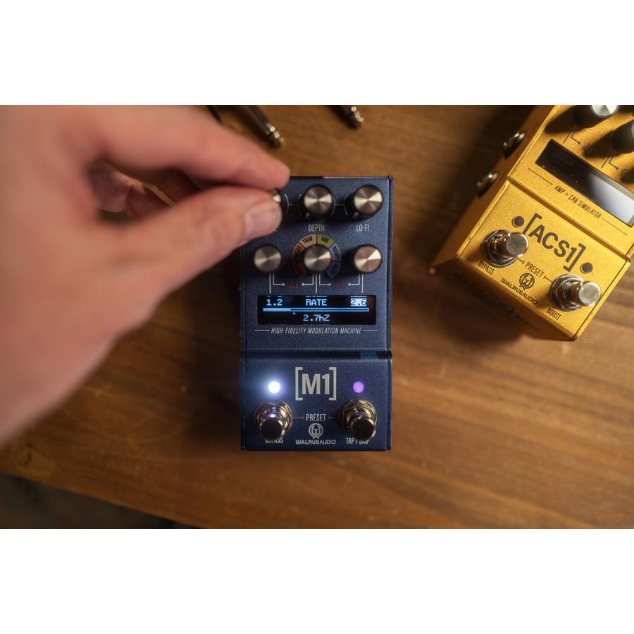 WALRUS AUDIO Mako Series MKII M1 High-Fidelity Modulation Machine