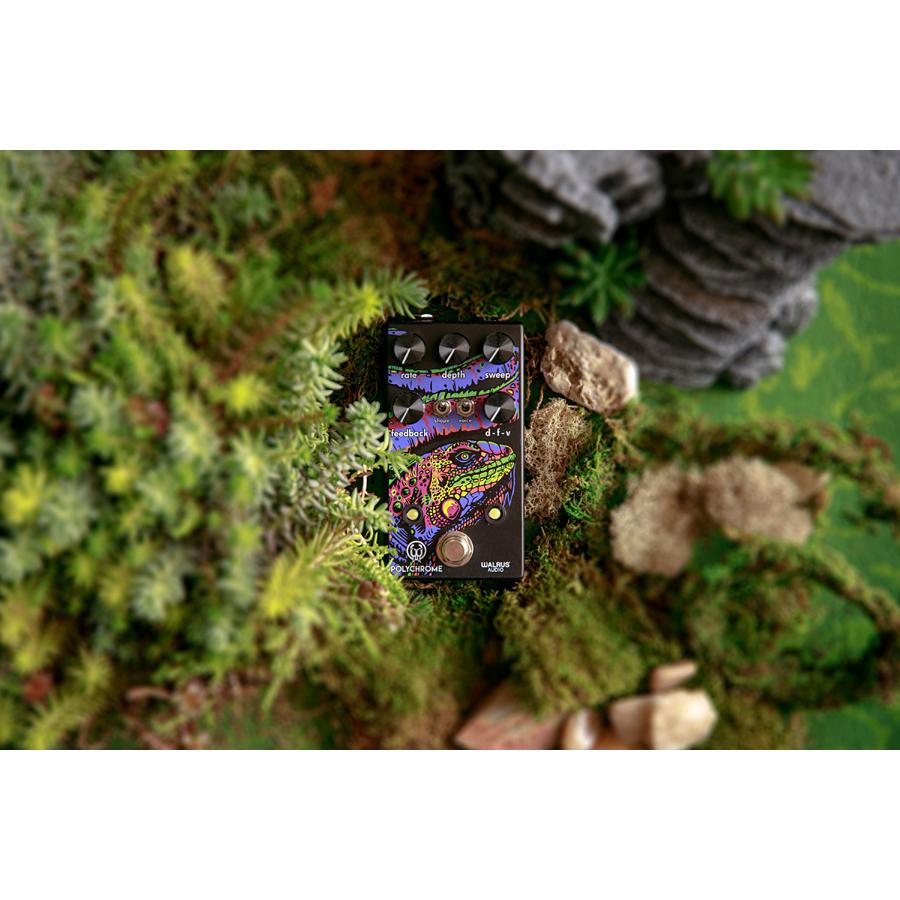 WALRUS AUDIO Polychrome Analog Flanger【フランジャー