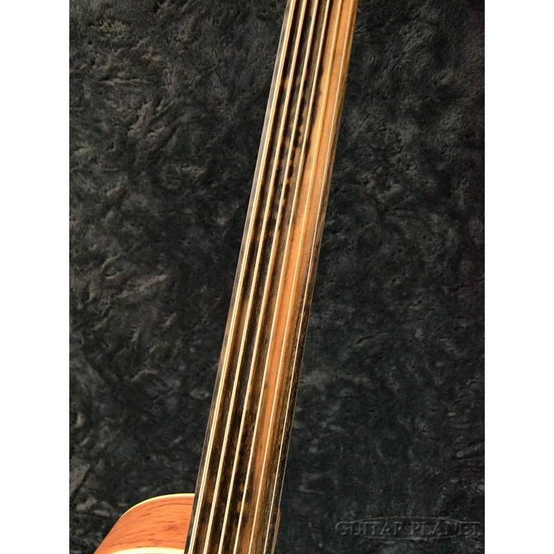 Warwick（ワーウィック） Warwick Rock Bass Alien Deluxe 6st