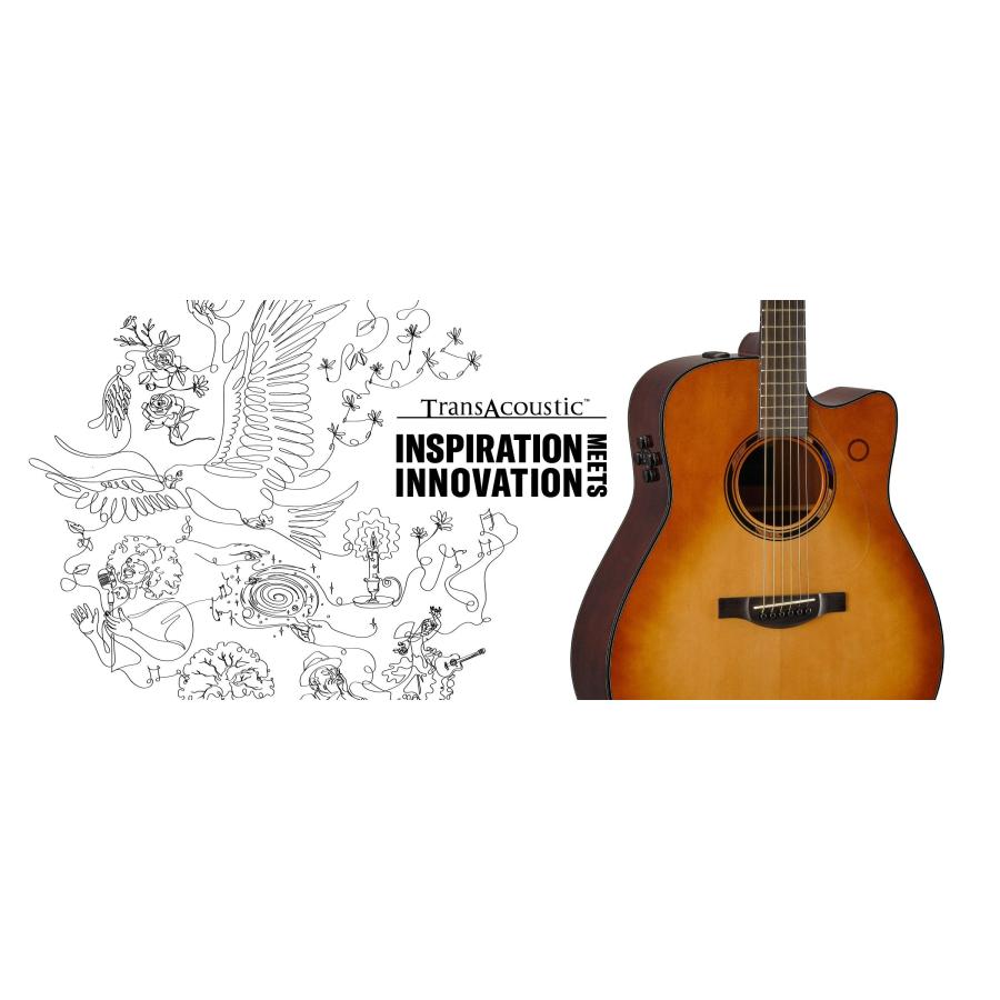 YAMAHA（ヤマハ） YAMAHA TAG3 C 新品 [ヤマハ][アコギ