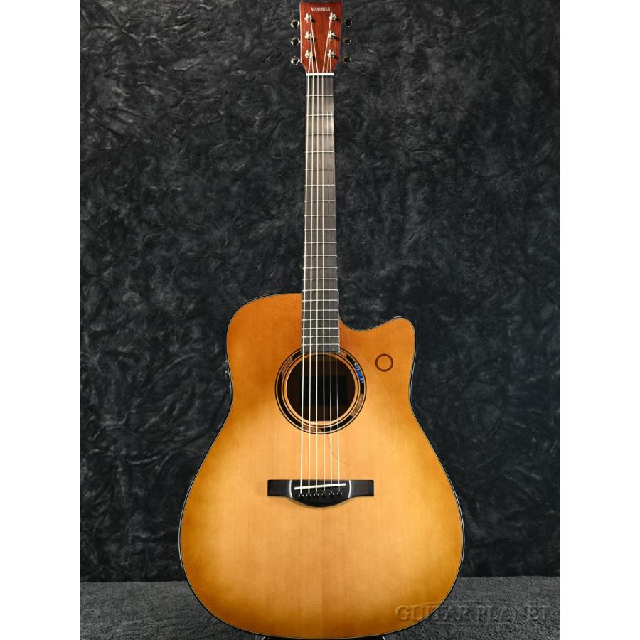 YAMAHA（ヤマハ） YAMAHA TAG3 C 新品 [ヤマハ][アコギ