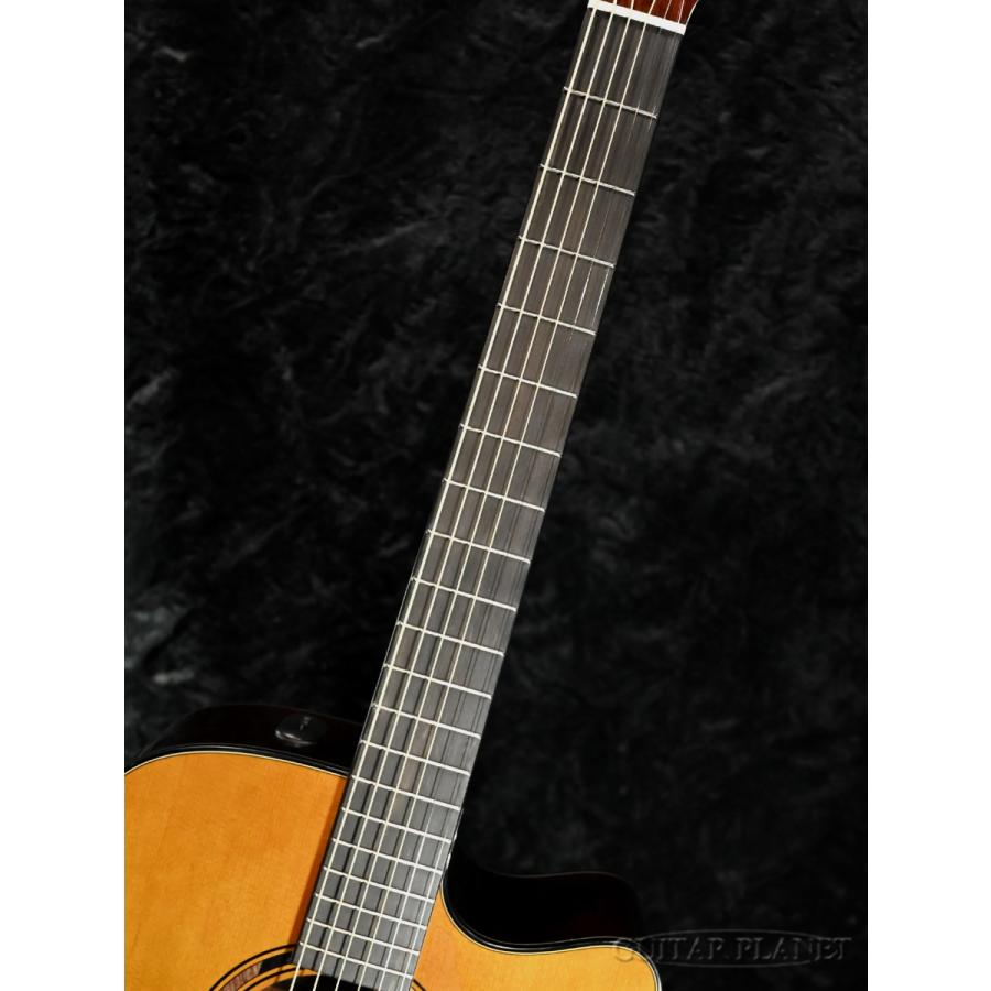 YAMAHA（ヤマハ） YAMAHA TAG3 C 新品 [ヤマハ][アコギ