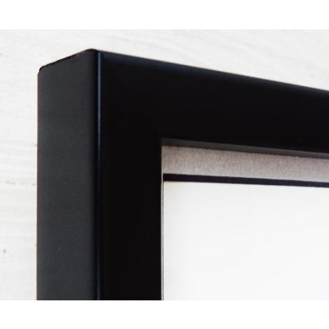 ピク 額装/Jaco Pastorius/Jazz bass Master/Jaco/Framed Jaco Pastorius/Fender Jazz 【ボサノバ】 bass/フレットレス