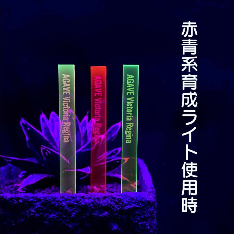 オリジナルプランツタグ 植物ネームプレート 園芸ラベル
