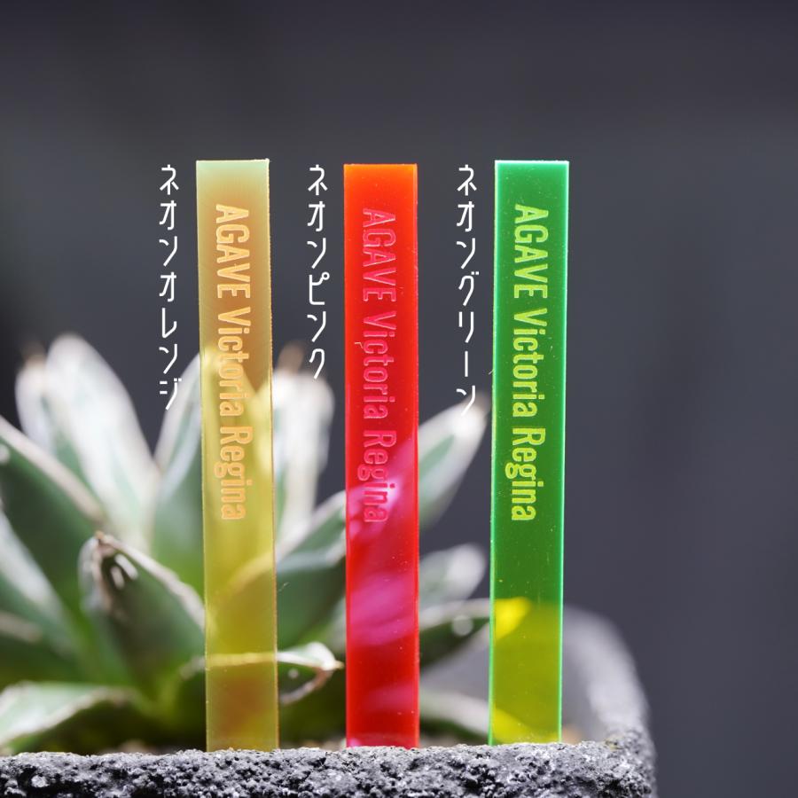 オリジナルプランツタグ 3枚セット 植物ネームプレート 園芸ラベル