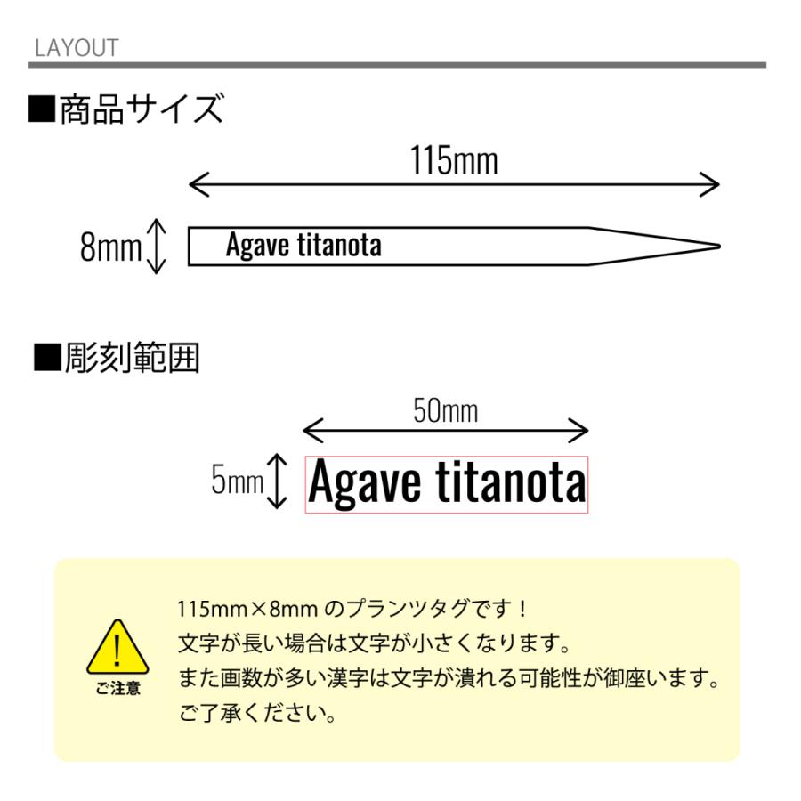 オリジナルプランツタグ 3枚セット 植物ネームプレート 園芸