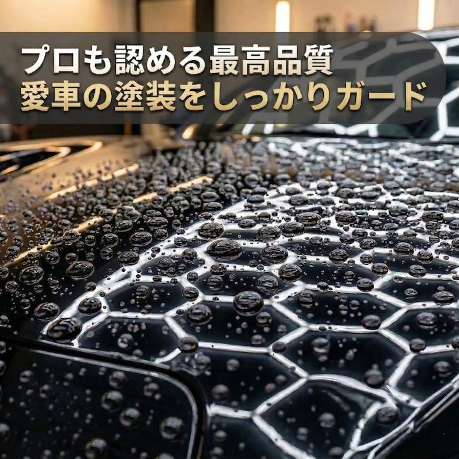 コーティング剤 グラフェンコーティング ファンタスティックxml 500ml