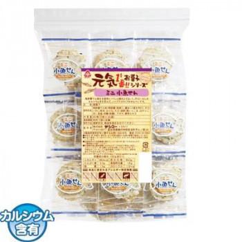 アウトレット送料無料 サンコー 元気 ミニ小魚せん 10袋 受賞店舗 Zoetalentsolutions Com