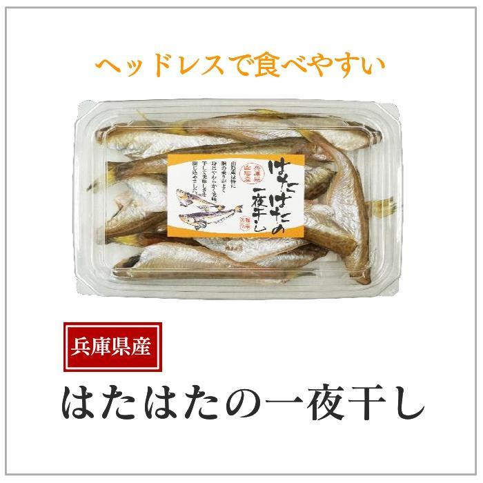 高価値 マルヨ食品 ははたはたの旨味が詰まった一夜干し はたはた一夜干し ヘッドレス 140g 48セット 海鮮惣菜 料理 Postetelecom Gouv Cg