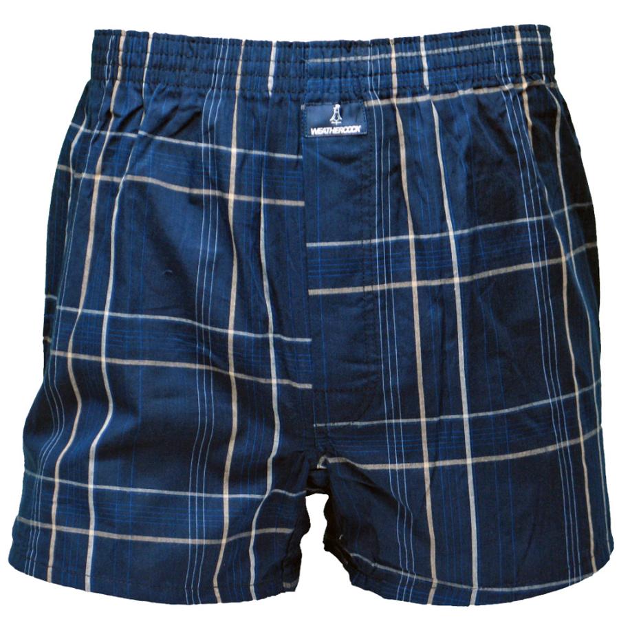 hiromichi nakano（ヒロミチナカノ） WEATHERCOCK トランクス 2枚