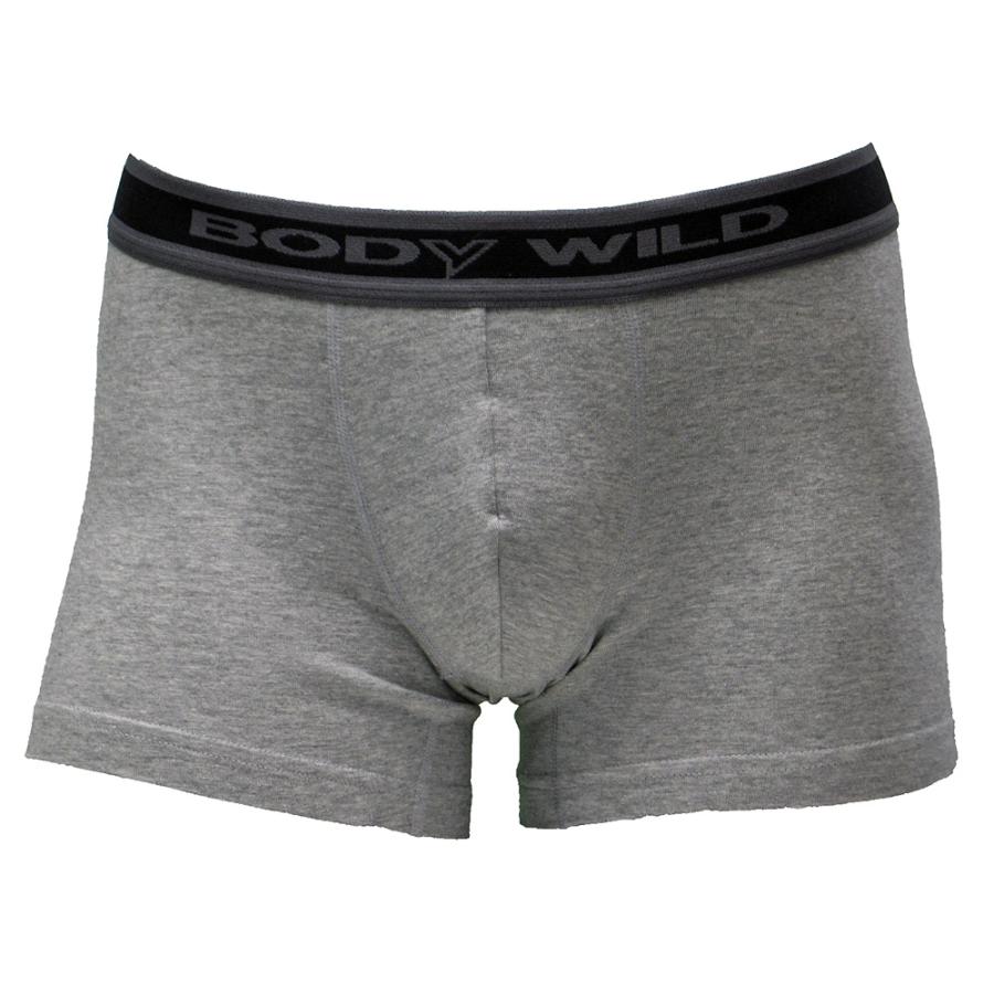 BODY WILD（ボディワイルド） グンゼ ボクサーパンツ 3枚セット