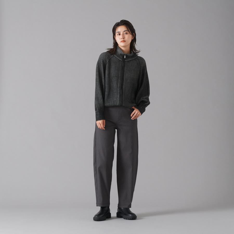 GUNZE（グンゼ） デニム調 ワイドパンツ 秋 カーブシルエット