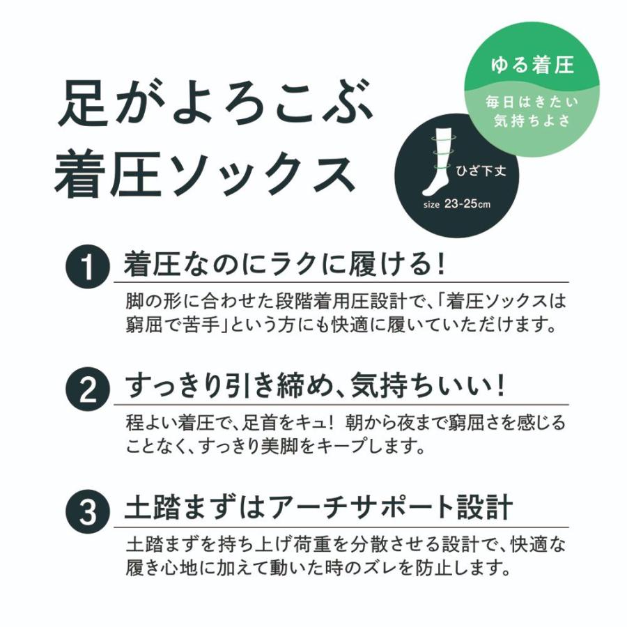 GUNZE（グンゼ） 着圧 ハイソックス レディース 綿 靴下 立ち 仕事