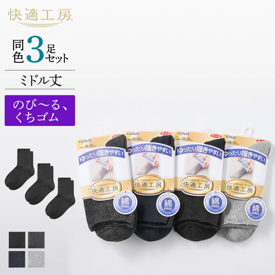 専用 / 3足セット ACTIVE STYLE（アクティブスタイル） 【まとめ買い】 グンゼ 靴下 3足