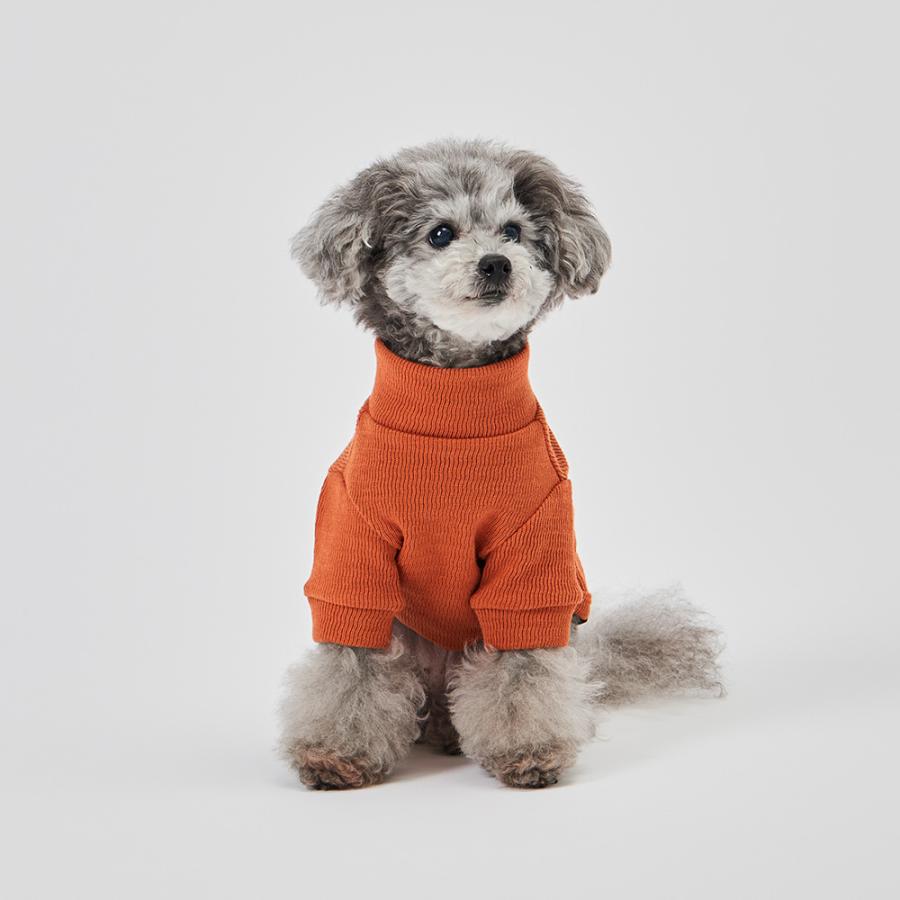 GUNZE グンゼ ドッグウェア 小型犬 綿100% ピササーマル 単色 犬